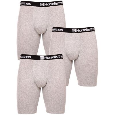3PACK pánské boxerky Horsefeathers Dynasty long (AM195C) L 3PACK pánské boxerky Horsefeathers Dynasty long (AM195C) L