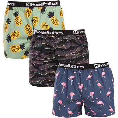 3PACK pánské trenky Horsefeathers Frazier Bundle 9 (AM096L) M 3PACK pánské trenky Horsefeathers Frazier Bundle 9 (AM096L) M