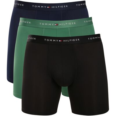 3PACK pánské boxerky Tommy Hilfiger vícebarevné (UM0UM03763 0TI) L 3PACK pánské boxerky Tommy Hilfiger vícebarevné (UM0UM03763 0TI) L