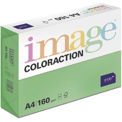 Antalis Barevný papír Dublin / tmavě zelený A4 / 160 g / 250 ks Antalis Barevný papír Dublin / tmavě zelený A4 / 160 g / 250 ks