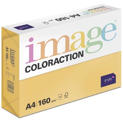 Antalis Barevný papír Venezia / sytě oranžový A4 / 160 g / 250 ks Antalis Barevný papír Venezia / sytě oranžový A4 / 160 g / 250 ks