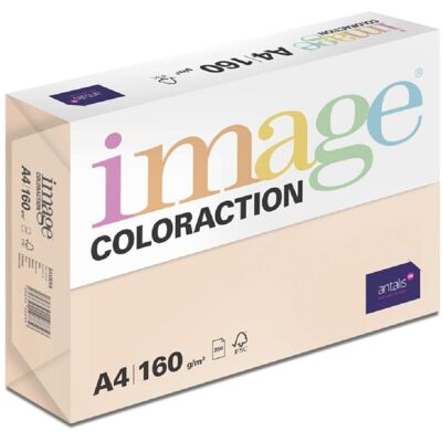 Antalis Barevný papír Savana / meruňkový A4 / 160 g / 250 ks Antalis Barevný papír Savana / meruňkový A4 / 160 g / 250 ks