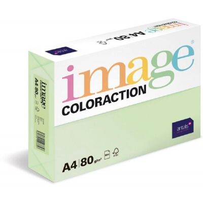 Antalis Barevný papír Jungle / pastelově světle zelený A4 / 80 g / 500 ks Antalis Barevný papír Jungle / pastelově světle zelený A4 / 80 g / 500 ks