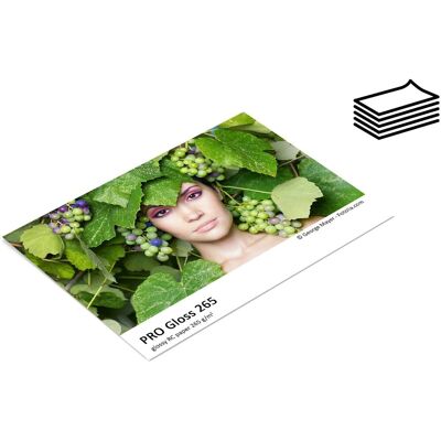 FOMEI PRO Gloss 265 10x15/250 FOMEI PRO Gloss 265 10x15/250