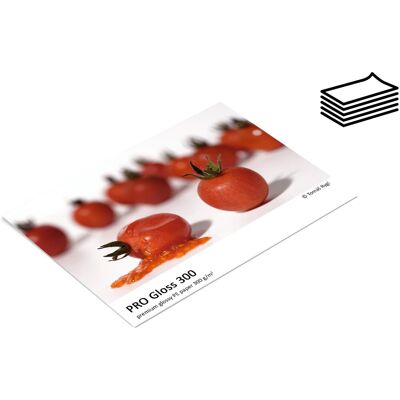 FOMEI PRO Gloss 300 A2 (42 x 59.4cm)/20 FOMEI PRO Gloss 300 A2 (42 x 59.4cm)/20