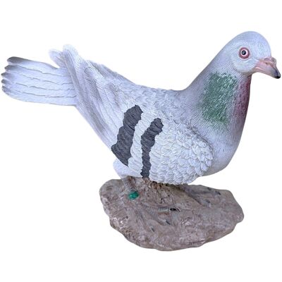 Prodex Holub na kameni 21 × 15 cm Prodex Holub na kameni 21 × 15 cm