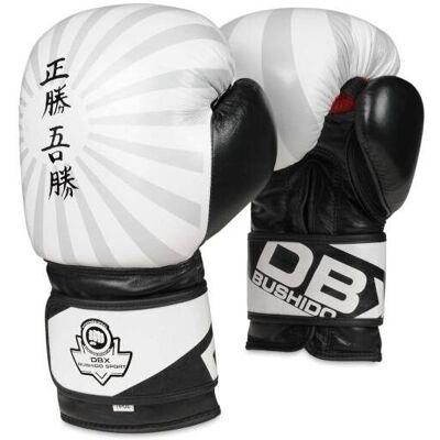 DBX BUSHIDO B-2V8 12 OZ Boxerské rukavice DBX BUSHIDO B-2V8 12 OZ Boxerské rukavice