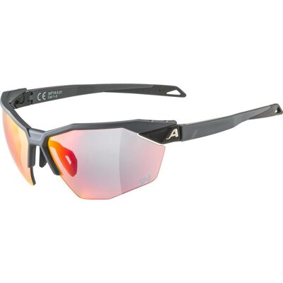 Alpina Twist Six HR QV šedé - Unisex sluneční brýle Alpina Twist Six HR QV šedé - Unisex sluneční brýle