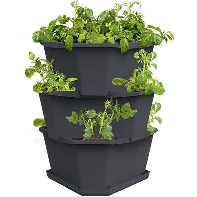 Gusta Garden PAUL POTATO samozavlažovací truhlík 3vrstvý, antracit Gusta Garden PAUL POTATO samozavlažovací truhlík 3vrstvý, antracit