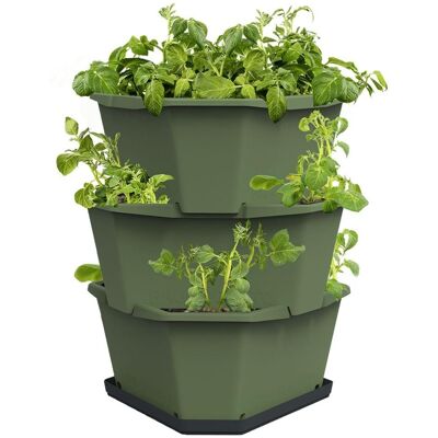 Gusta Garden PAUL POTATO samozavlažovací truhlík 3vrstvý, tmavě zelený Gusta Garden PAUL POTATO samozavlažovací truhlík 3vrstvý, tmavě zelený
