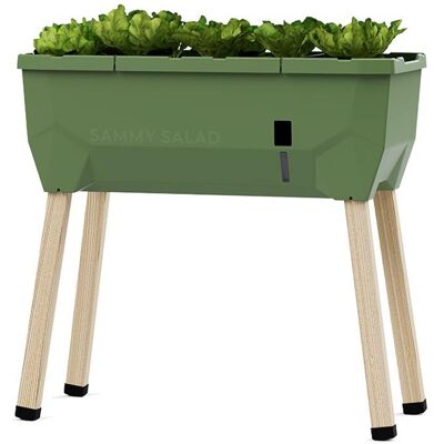 Gusta Garden SAMMY SALAD samozavlažovací truhlík bez víka, tmavě zelený Gusta Garden SAMMY SALAD samozavlažovací truhlík bez víka, tmavě zelený