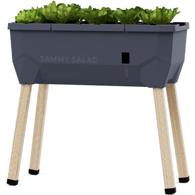 Gusta Garden SAMMY SALAD samozavlažovací truhlík bez víka, antracit Gusta Garden SAMMY SALAD samozavlažovací truhlík bez víka, antracit