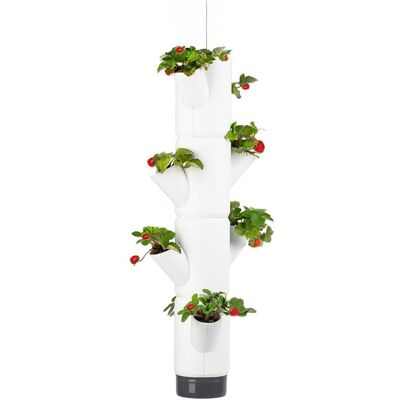 Gusta Garden SISSI STRAWBERRY závěsný samozavlažovací truhlík 4 patra, bílý Gusta Garden SISSI STRAWBERRY závěsný samozavlažovací truhlík 4 patra, bílý