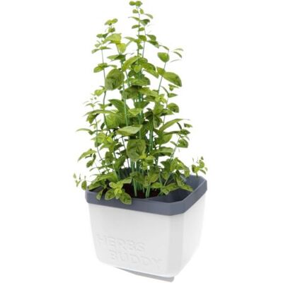 Gusta Garden HERBS BUDDY samozavlažovací, bílý Gusta Garden HERBS BUDDY samozavlažovací, bílý