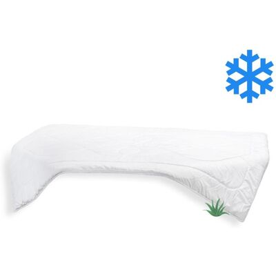 Brotex Prodloužená přikrývka Thermo Aloe Vera 140 × 220 cm celoroční 1230 g Brotex Prodloužená přikrývka Thermo Aloe Vera 140 × 220 cm celoroční 1230 g
