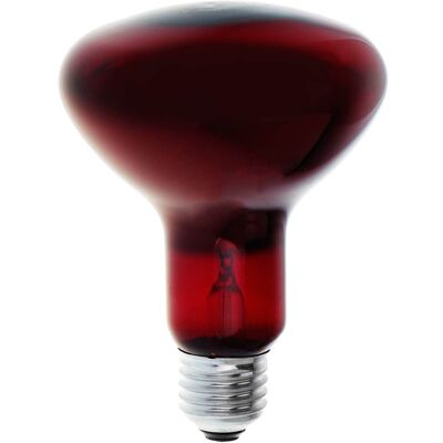 Philips - IR95 - 100W - E27 - light bulb Philips - IR95 - 100W - E27 - light bulb