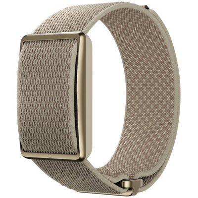 POLAR Loop Gen2 S-L zlatý POLAR Loop Gen2 S-L zlatý