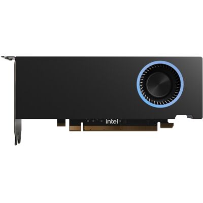 Intel Arc Pro B50 16GB Intel Arc Pro B50 16GB