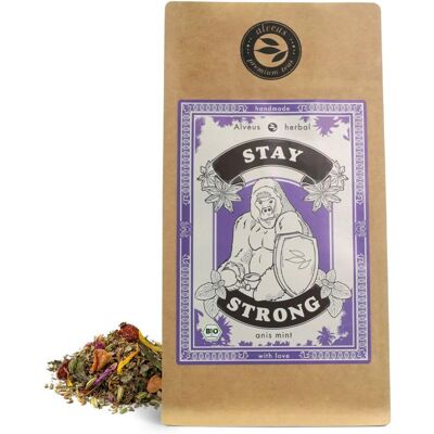 Alveus Stay Strong ORGANIC, anýz a máta 100 g Alveus Stay Strong ORGANIC, anýz a máta 100 g