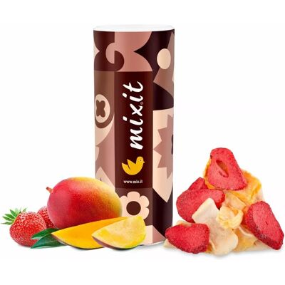 Mixit Velké křupavé ovoce - mango a jahoda 140 g Mixit Velké křupavé ovoce - mango a jahoda 140 g