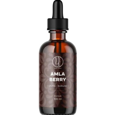 BrainMax Pure Amla bobule tinktura 1:2, 100 ml BrainMax Pure Amla bobule tinktura 1:2, 100 ml