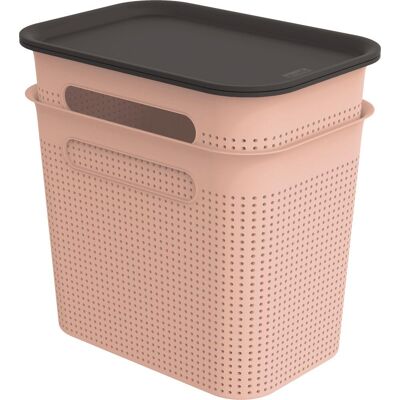 Rotho BRISEN Set boxů s víkem 7 l 2 ks, růžová Rotho BRISEN Set boxů s víkem 7 l 2 ks, růžová
