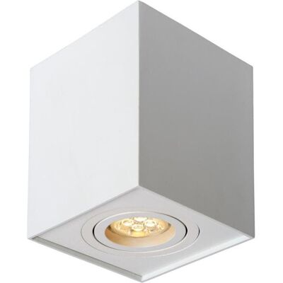 Lucide 22953/01/31 - Bodové svítidlo TUBE 1xGU10/42W/230V bílá Lucide 22953/01/31 - Bodové svítidlo TUBE 1xGU10/42W/230V bílá