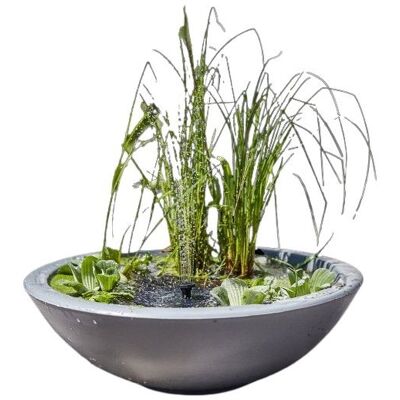 HEISSNER Lotusgarden Solární mini jezírko 58 × 19 cm, antracit HEISSNER Lotusgarden Solární mini jezírko 58 × 19 cm, antracit