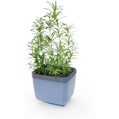 Gusta Garden HERBS BUDDY samozavlažovací, modrý Gusta Garden HERBS BUDDY samozavlažovací, modrý