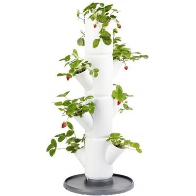 Gusta Garden SISSI STRAWBERRY starter samozavlažovací truhlík 4 patra, bílý Gusta Garden SISSI STRAWBERRY starter samozavlažovací truhlík 4 patra, bílý