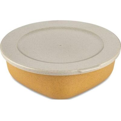 Gastro Box s víkem Connect 1,3 l, žlutý Gastro Box s víkem Connect 1,3 l, žlutý