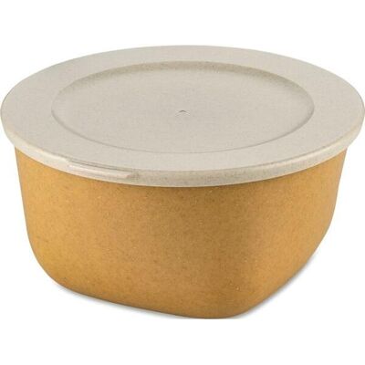 Gastro Box s víkem Connect 2 l, žlutý Gastro Box s víkem Connect 2 l, žlutý