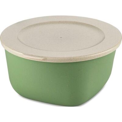Gastro Box s víkem Connect 2 l, zelený Gastro Box s víkem Connect 2 l, zelený