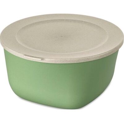 Gastro Box s víkem Connect 4 l, zelený Gastro Box s víkem Connect 4 l, zelený