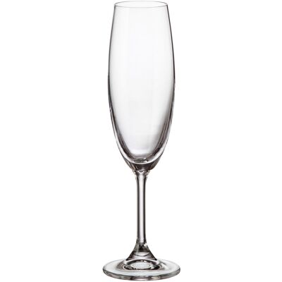 Crystalite Bohemia KLARA/SYLVIA 6 ks 220 ml šampaňské Crystalite Bohemia KLARA/SYLVIA 6 ks 220 ml šampaňské