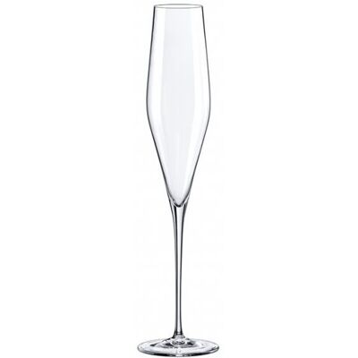 RONA Sklenice na sekt 190 ml SWAN 6 ks RONA Sklenice na sekt 190 ml SWAN 6 ks