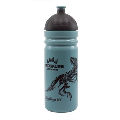 ZDRAVÁ LAHEV Láhev 0,7 l T-REX ZDRAVÁ LAHEV Láhev 0,7 l T-REX