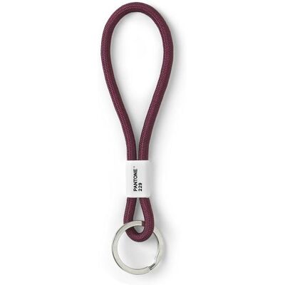 Pantone Poutko na klíče S - Aubergine 229 Pantone Poutko na klíče S - Aubergine 229