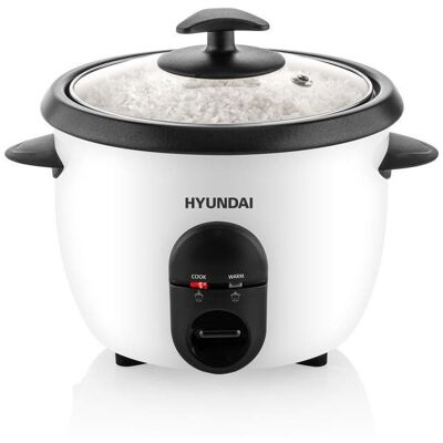 Hyundai HYURC100 Hyundai HYURC100