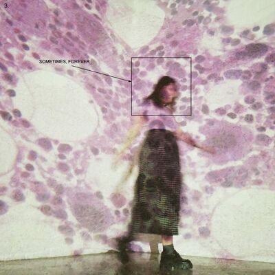 Multiland Soccer Mommy: Sometimes, Forever - LP Multiland Soccer Mommy: Sometimes, Forever - LP