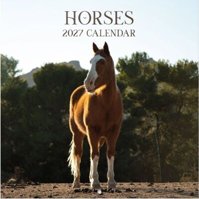 Grupo Erik Horses - Nástěnný kalendář 2026/2027 Grupo Erik Horses - Nástěnný kalendář 2026/2027