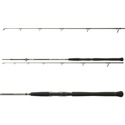 Daiwa Prut Powermesh Catfish Spin 2,7 m 135 g Daiwa Prut Powermesh Catfish Spin 2,7 m 135 g
