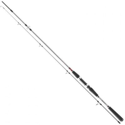 Daiwa Seahunter X 2,7 m 100-200 g Daiwa Seahunter X 2,7 m 100-200 g