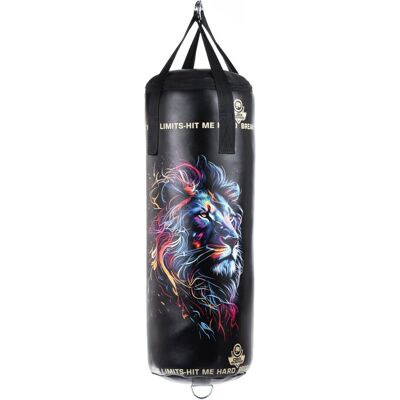 DBX BUSHIDO 75 / 25 cm prázdný boxovací pytel Leon DBX BUSHIDO 75 / 25 cm prázdný boxovací pytel Leon