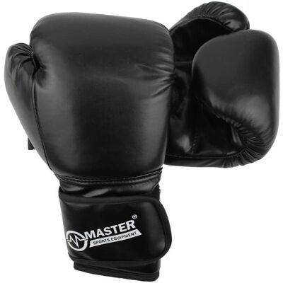Boxovací rukavice MASTER TG10 Boxovací rukavice MASTER TG10