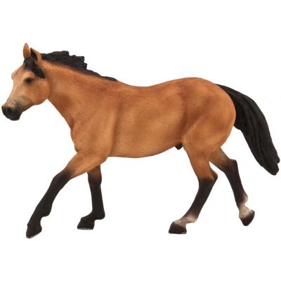 Mojo Fun Mojo - Kůň Quarter horse plavý Mojo Fun Mojo - Kůň Quarter horse plavý