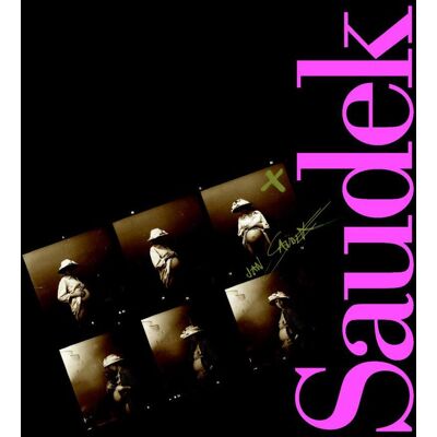 SLOVART Saudek SLOVART Saudek