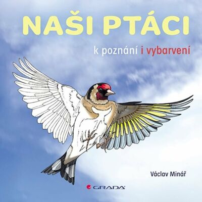 Bambook Naši ptáci: k poznání a vybarvení Bambook Naši ptáci: k poznání a vybarvení