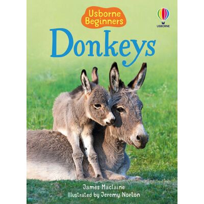 Usborne Donkeys Usborne Donkeys