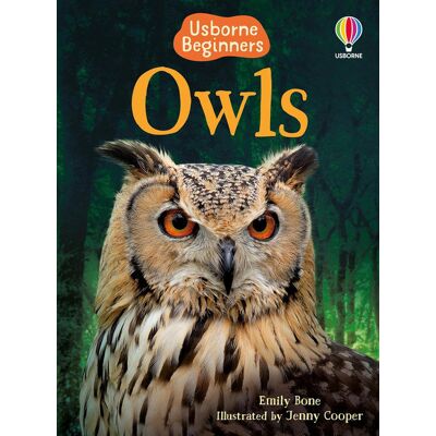 Usborne Owls Usborne Owls